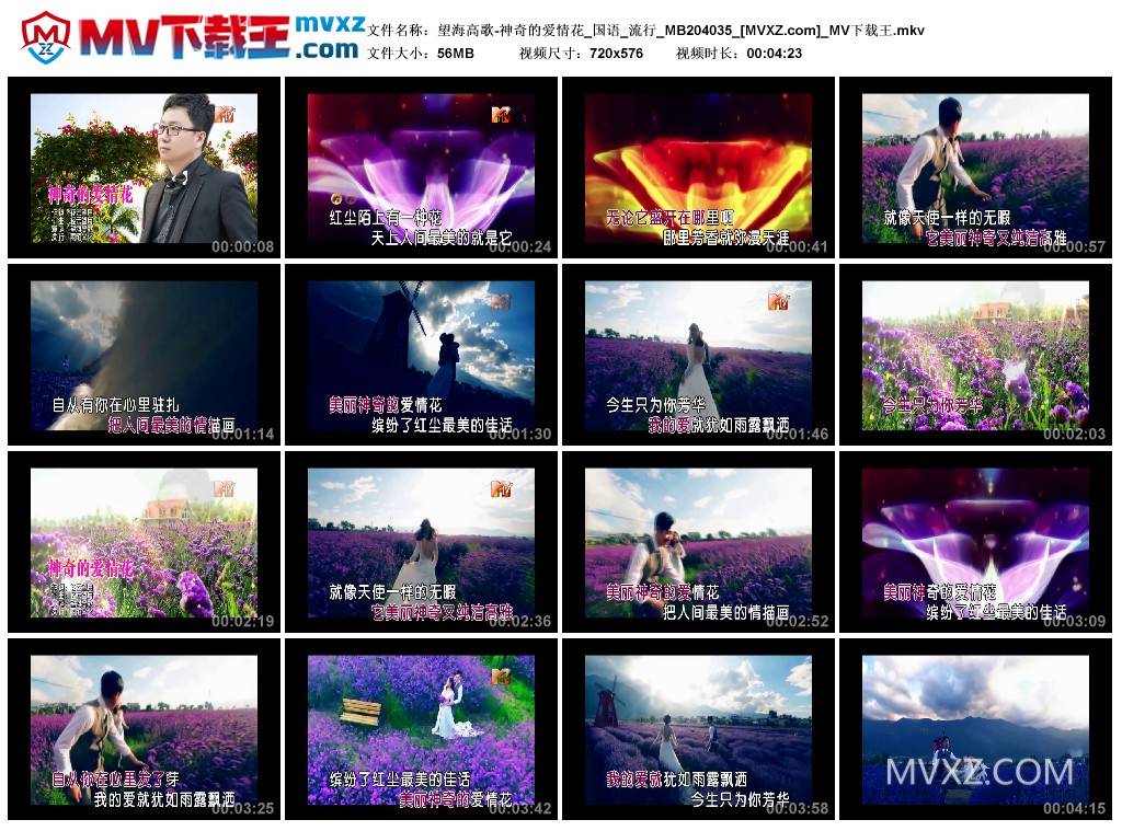 望海高歌-神奇的爱情花_国语_流行_MB204035